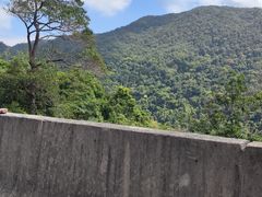-海南热带雨林国家公园吊罗山景区
