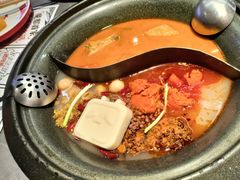 -生活如沸·顺德水牛奶火锅(大学路店)