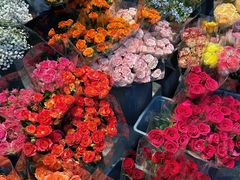 -循礼门鲜花花市(武汉循礼门店)