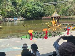 -西双版纳原始森林公园