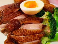 金牌鹅肉饭-陈鹏鹏潮汕菜(宝安机场T3航站楼店)