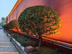 -北京贵宾楼饭店 红墙咖啡厅