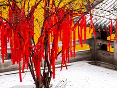 -宝通禅寺