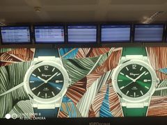 -米兰马尔彭萨国际机场