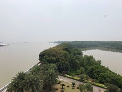 -大湾区中央湿地公园
