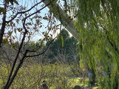 -自然谷恐龙园