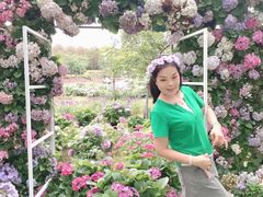 -天适樱花悠乐园