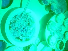 -额娘·春饼烤鸭(华北七楼创始店)