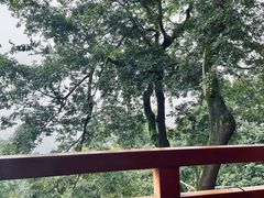 -涂山寺素食餐厅