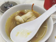 -丁老爷子苏香圆