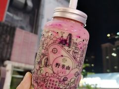 -野萃山·潮汕厚果汁(十亩地店)