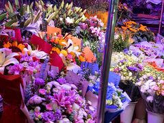 -花鸟鱼虫鲜花绿植市场(玉泉路店)
