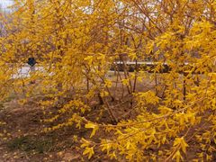 -元大都城垣遗址公园