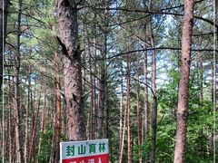 -帽儿山国家森林公园