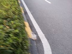 -巢爷老味(东方红店)