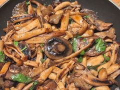 橄榄油三种菇-庆春朴门