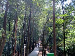 -火炉山森林公园