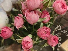 -万达广场(东莞厚街店)