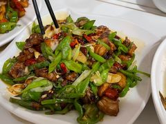 -煲来饱去冷水鱼