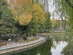 -和平公园
