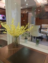 点击看大图 -弗蕾亚·和月月子调理院(东湖店)