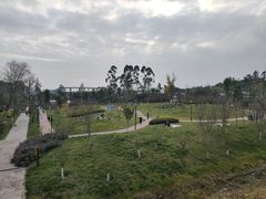 -三圣花乡旅游区