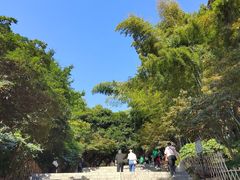 -岳麓山风景名胜区