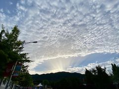 -北京西山国家森林公园