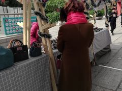 -大洋晶典(东街店)