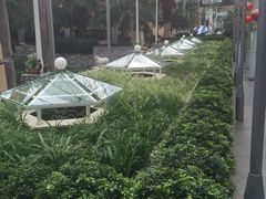 -北国之春国宴(乌兰察布店)