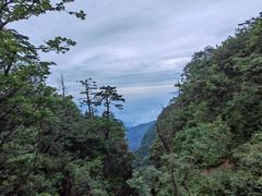 -峨眉山风景名胜区