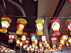 -锦江乐园舞狸花花游园会(夜场专享)