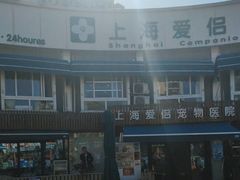 -爱侣宠医·鹦鹉专科·小型哺乳类·异宠专科(灵石路店)