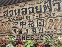 -东芭乐园