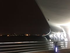 -演武大桥观景平台