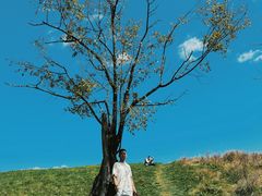 -硗碛藏寨·神木垒景区