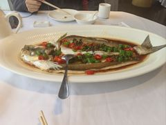 -天福苑(崇宁路店)