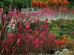 -桃花涧
