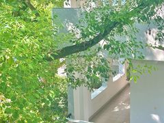 -湖北美术学院(昙华林校区)