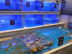 -箸福·夜上海(雨花客厅店)