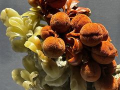 -青田石雕博物馆