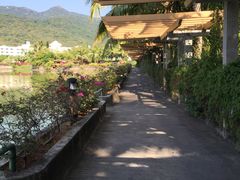 068-三亚亚龙湾凯莱仙人掌度假酒店