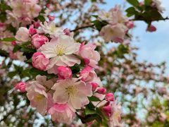 -大钟寺古钟博物馆