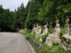 -武陵山森林公园