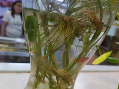 -金乐活美食(中街店)