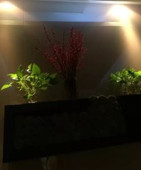 -史云逊养发护发