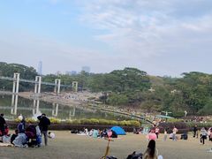 -东莞植物园