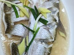 清蒸白鱼-观桥阁(锦溪店)