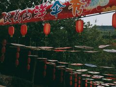 -伏羲山旅游区