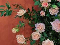 -第101座花园餐厅(湖滨88店)